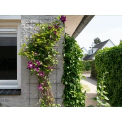 Nature - Metalen Klimrek Geplastificeerd Groen H145x57cm 6 Nature - Metalen Klimrek Geplastificeerd Groen H145x57cm -Gardena Winkel nature metalen klimrek geplastificeerd groen h145x57cm 3 2