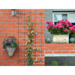 Nature - Metalen Klimrek Geplastificeerd Groen H145x72,5cm 6 Nature - Metalen Klimrek Geplastificeerd Groen H145x72,5cm -Gardena Winkel nature metalen klimrek geplastificeerd groen h145x72 5cm 3 2