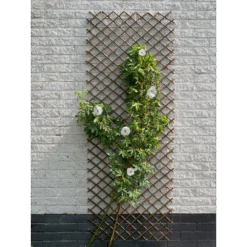Nature - Wilgenklimrek 60x180cm -Gardena Winkel nature wilgenklimrek 60x180cm 4 2
