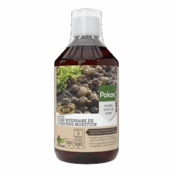 Pokon Bio Kuur Voor Schimmelgevoelige Knolgewassen Concentraat 500ml - Schimmels