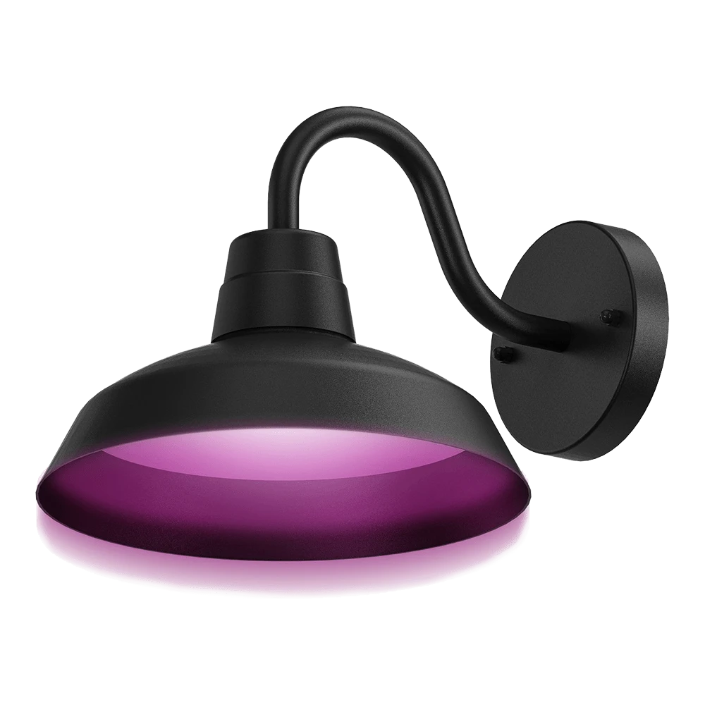 Calex Smart Outdoor Classic Wandlamp RGB CCT - 4W 380lm 2 Calex Smart Outdoor Classic Wandlamp RGB CCT - 4W 380lm - Afbeelding 2