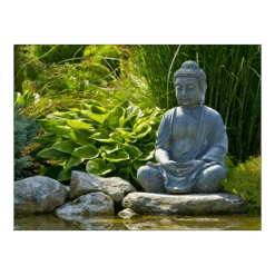 Tuinposter Buddha Met Hosta - L - 120x90cm