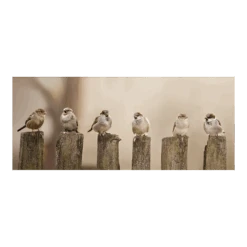 Tuinposter Musjes Op Palen - 110x45cm