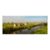 Tuinposter Weiland Met Koeien - 110x45cm
