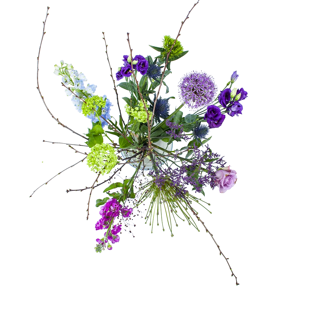 Gardena Winkel -Gardena Winkel boeket biezen boeketten 2 1 1