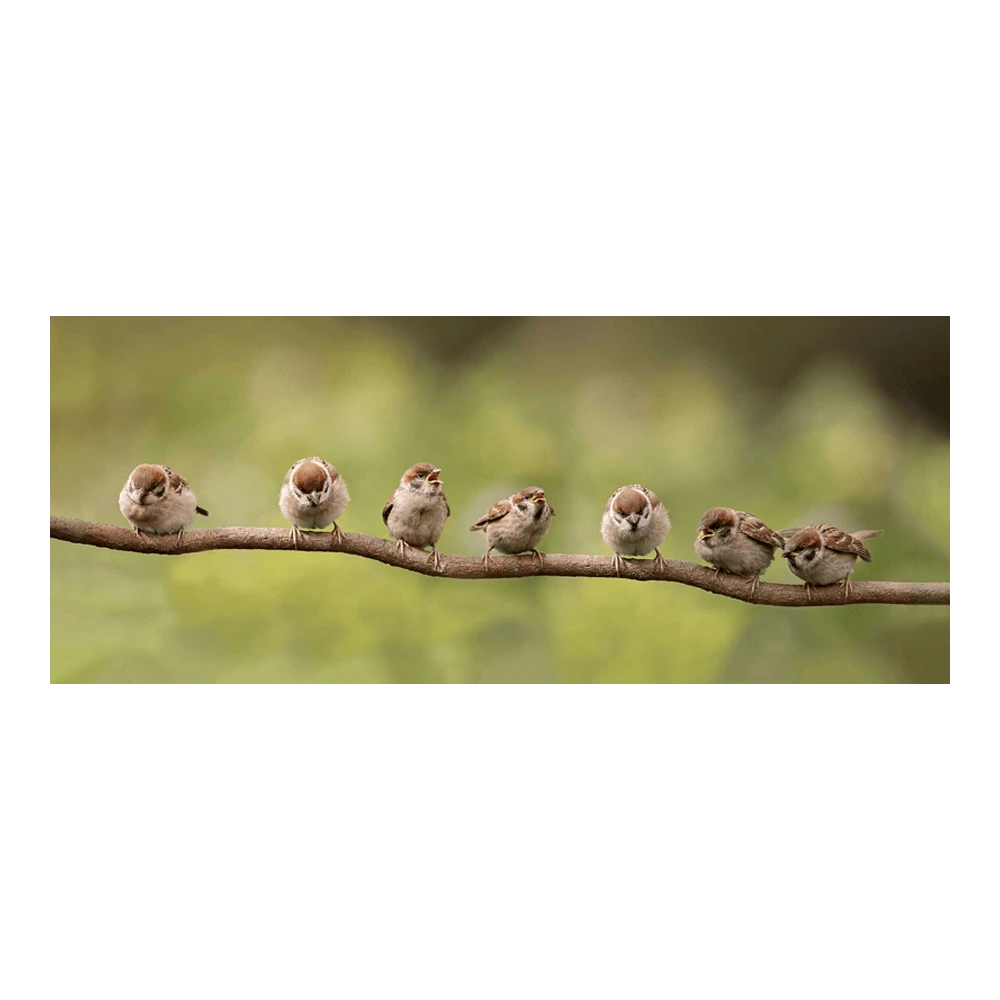 Gardena Winkel -Gardena Winkel